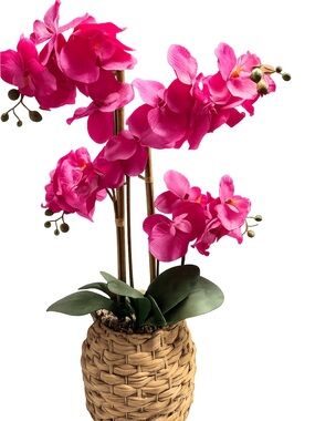 Beautiful faux orchid plant